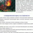 Памятки по пожарной безопасности - Лузское городское поселение