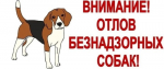 Внимание