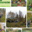 30 10 2025 Zelenaya Rossiya - Библиотечно-информационная система